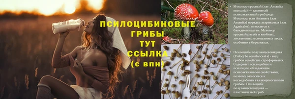 Альфа ПВП Белокуриха