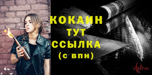 Альфа ПВП Белокуриха