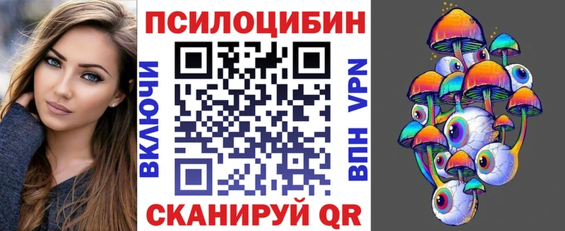 Галлюциногенные грибы Psilocybe  Кологрив 