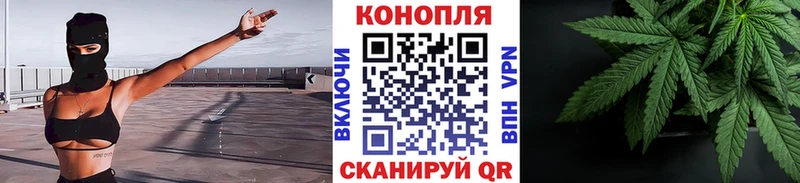 Конопля ГИДРОПОН  купить  цена  МЕГА маркетплейс  Кологрив 